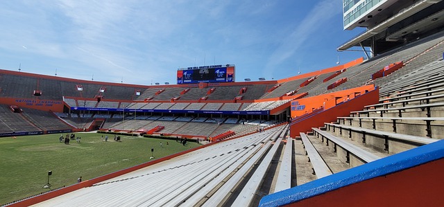 以及新生代 以及新生代