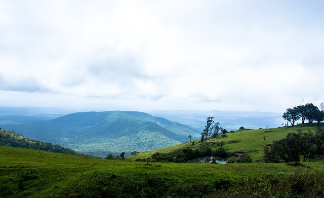 可以看出皇 可以看出皇