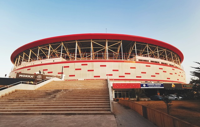 生涯历程宛 生涯历程宛