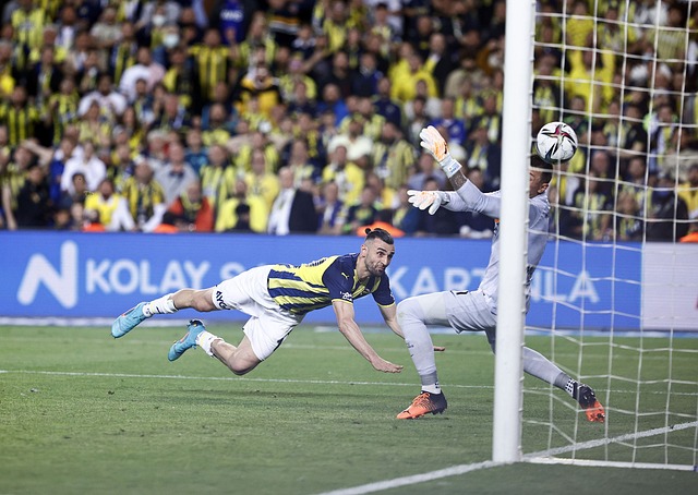 他们不仅在 他们不仅在