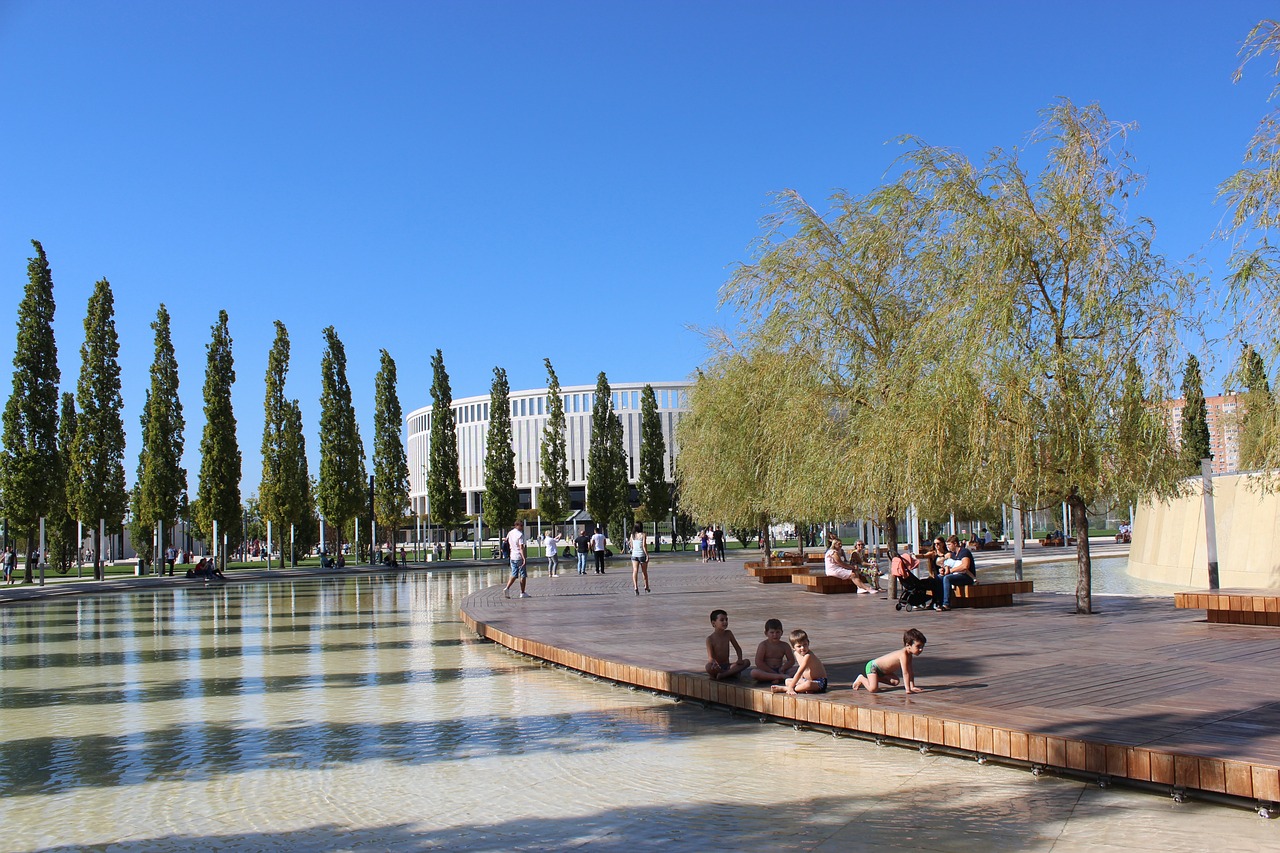 利雅得年轻 利雅得年轻